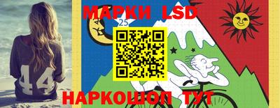 индика Железногорск