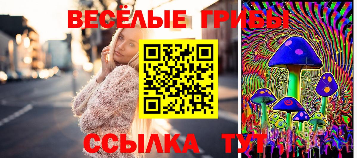 Солнечногорск  Галлюциногенные грибы MAGIC MUSHROOMS  Вход с VPN 