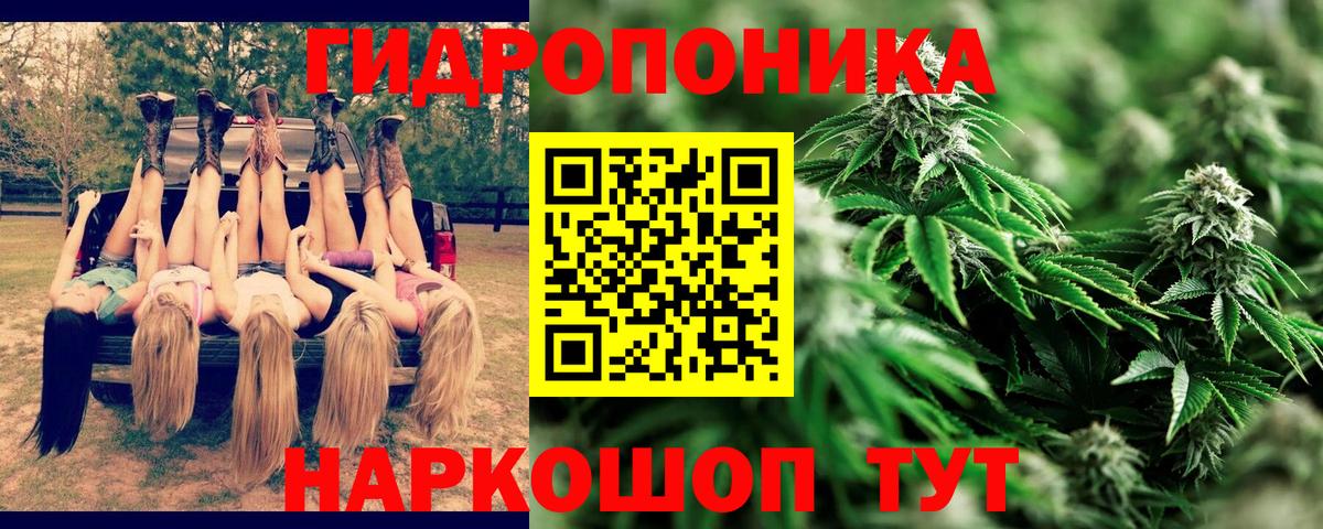 Каннабис конопля  Вход с VPN  Марихуана OG Kush  Солнечногорск  Конопля конопля  Бошки Шишки White Widow 
